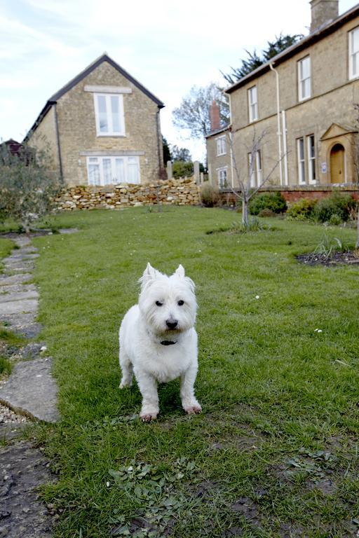 The Square House Bed & Breakfast South Petherton Luaran gambar